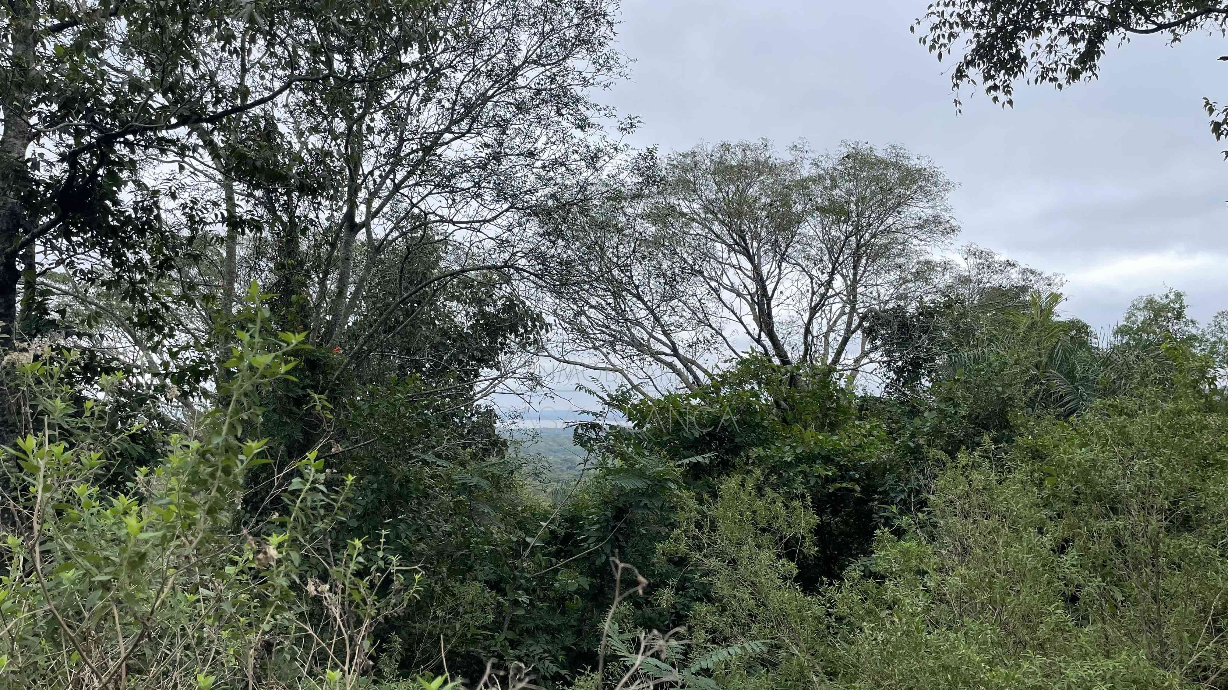 Venta Terreno en San Bernardino con Vista plena al Lago — foto 3