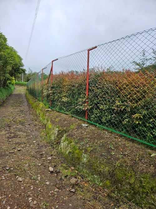 Lote en venta en San Fernando, Pasto, 2400 m² · foto 8 de 14