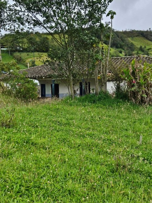 Lote en venta en San Fernando, Pasto, 2400 m² · foto 13 de 14