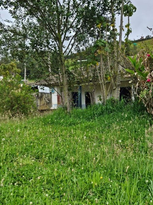 Lote en venta en San Fernando, Pasto, 2400 m² · foto 12 de 14