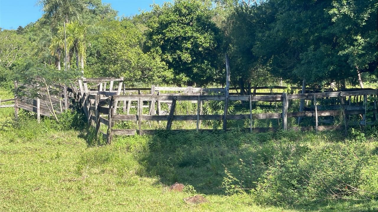 Vendo 9 hectareas en Caballero — foto 2