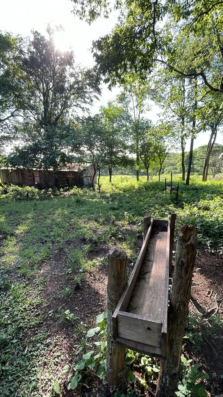 Vendo 9 hectareas en Caballero — foto 3