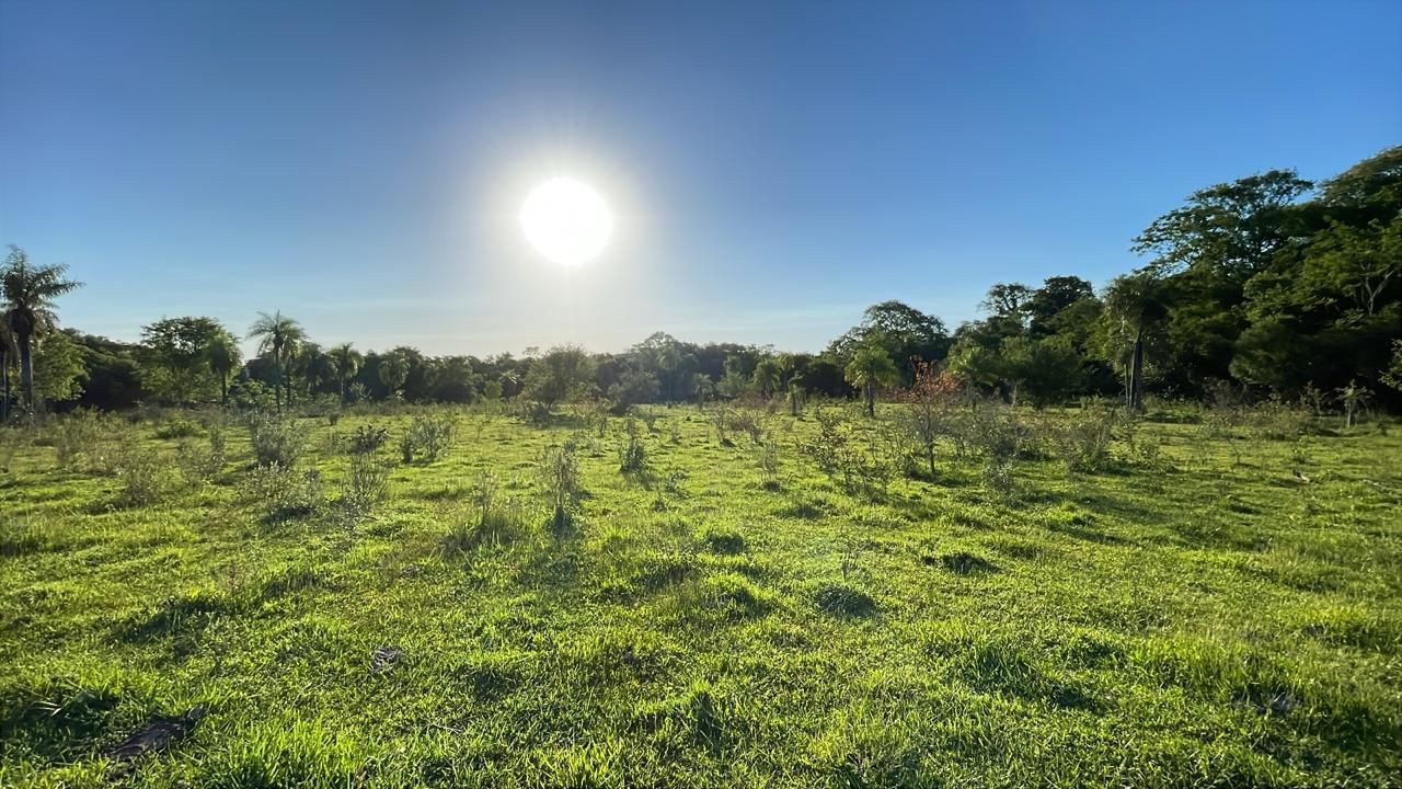 Vendo hermosa propiedad de 15,8 hectáreas en Escobar — foto 3