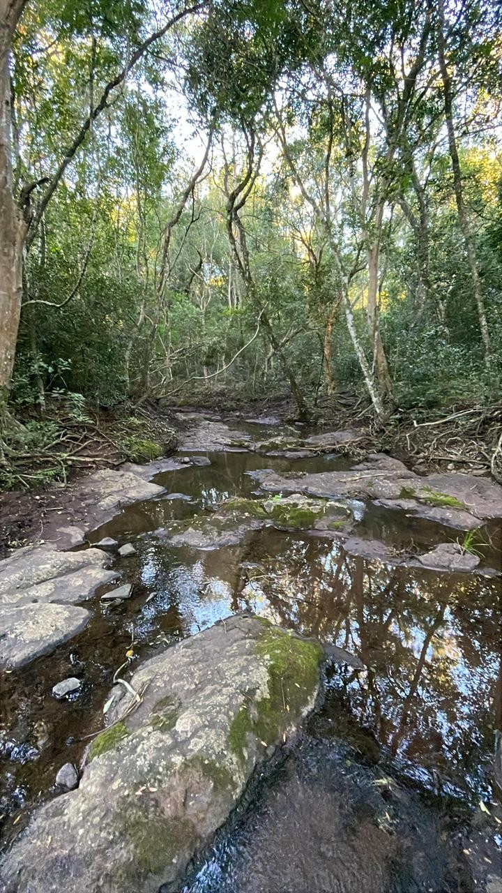 Vendo hermosa propiedad de 15,8 hectáreas en Escobar — foto 2
