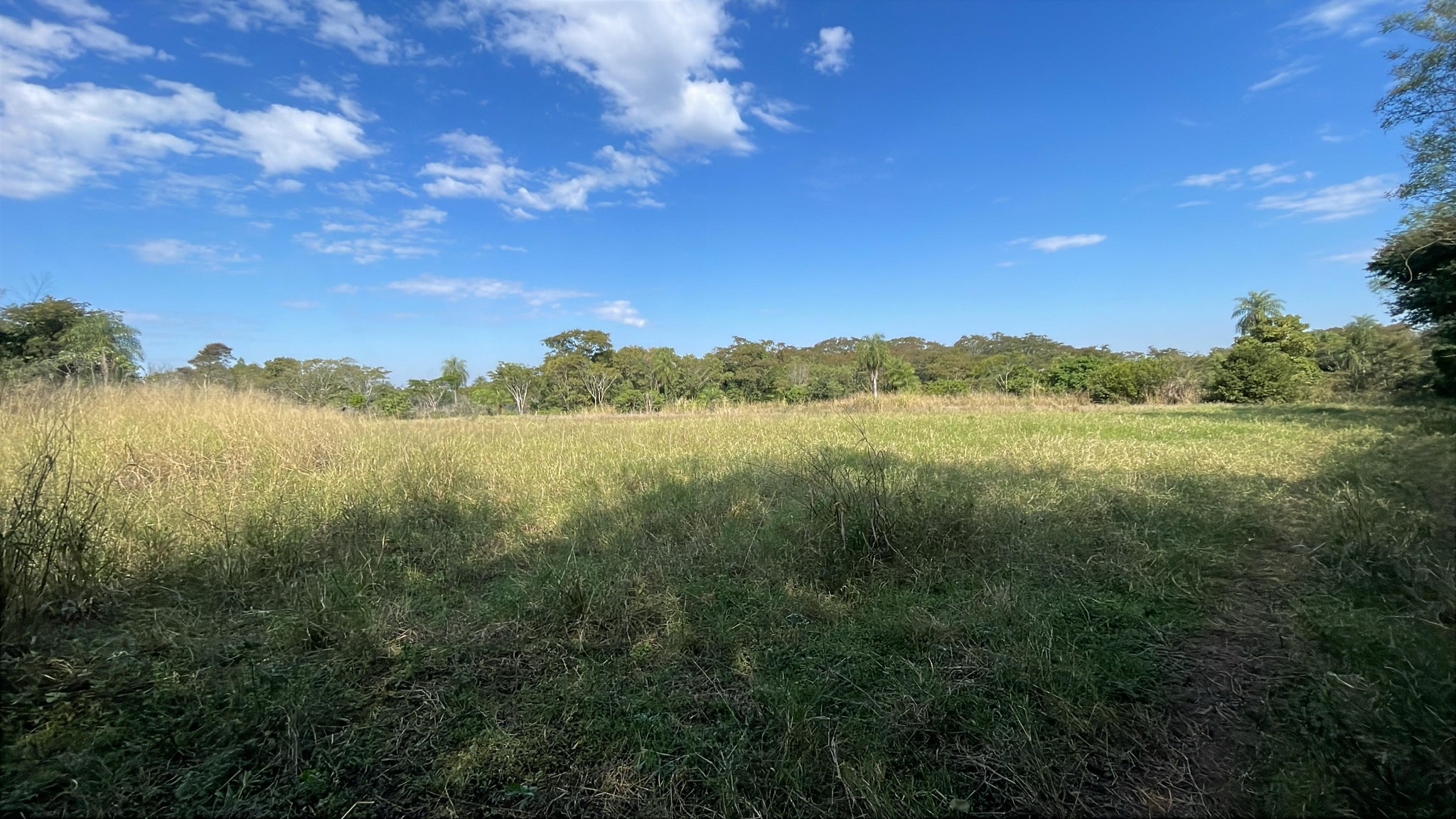 Vendo 3 hectáreas en Caraguatay — foto 2
