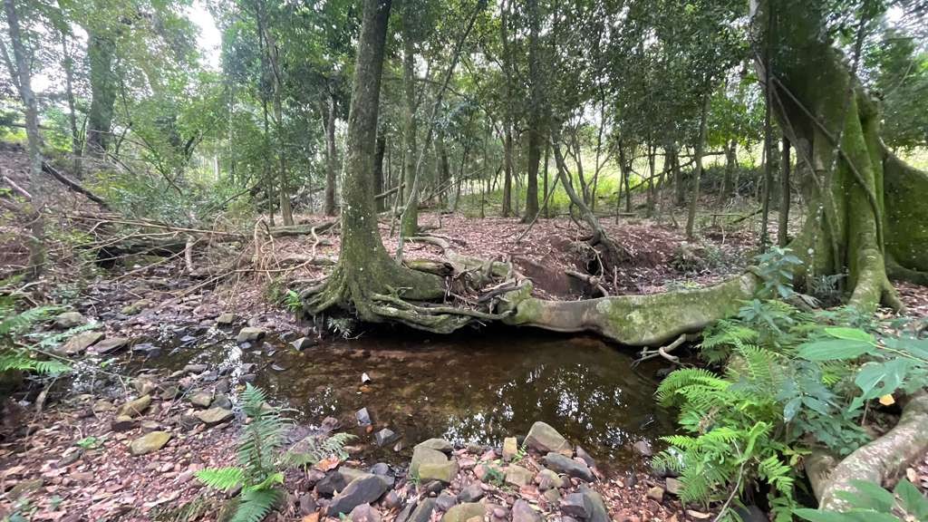 Vendo 8,3 hectáreas en Caballero con arroyo y vistas — foto 3