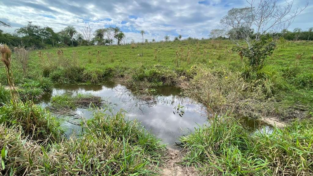 Vendo 8,3 hectáreas en Caballero con arroyo y vistas — foto 2