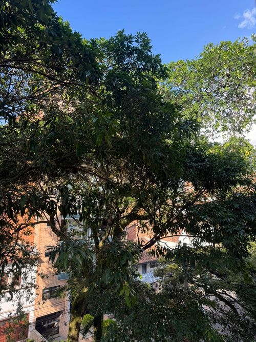 Apartamento de 3 alcobas en venta en Laureles, Medellín, 125 m² · foto 22 de 22