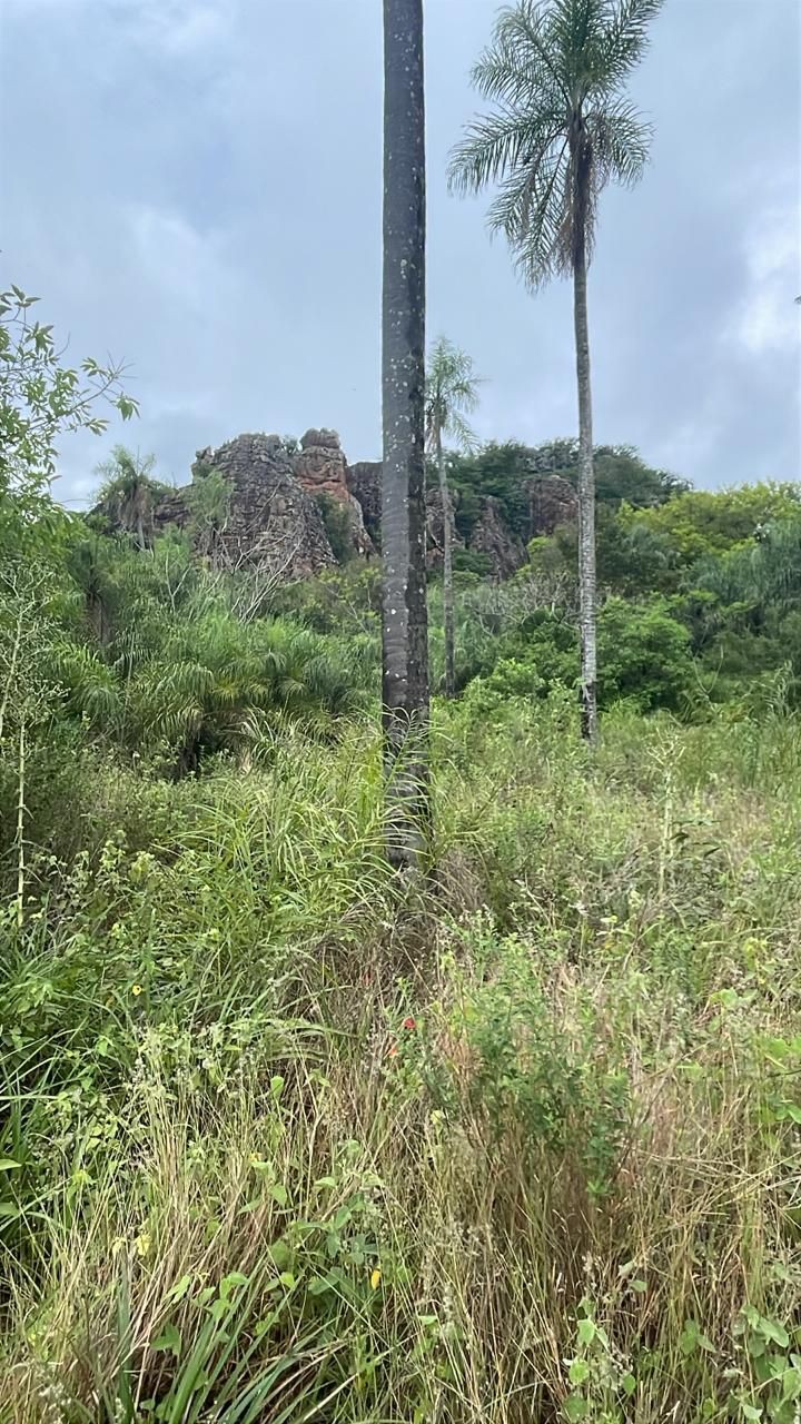 Vendo 14,6 hectáreas en Caacupé con vista al Cerro Kavaju — foto 2