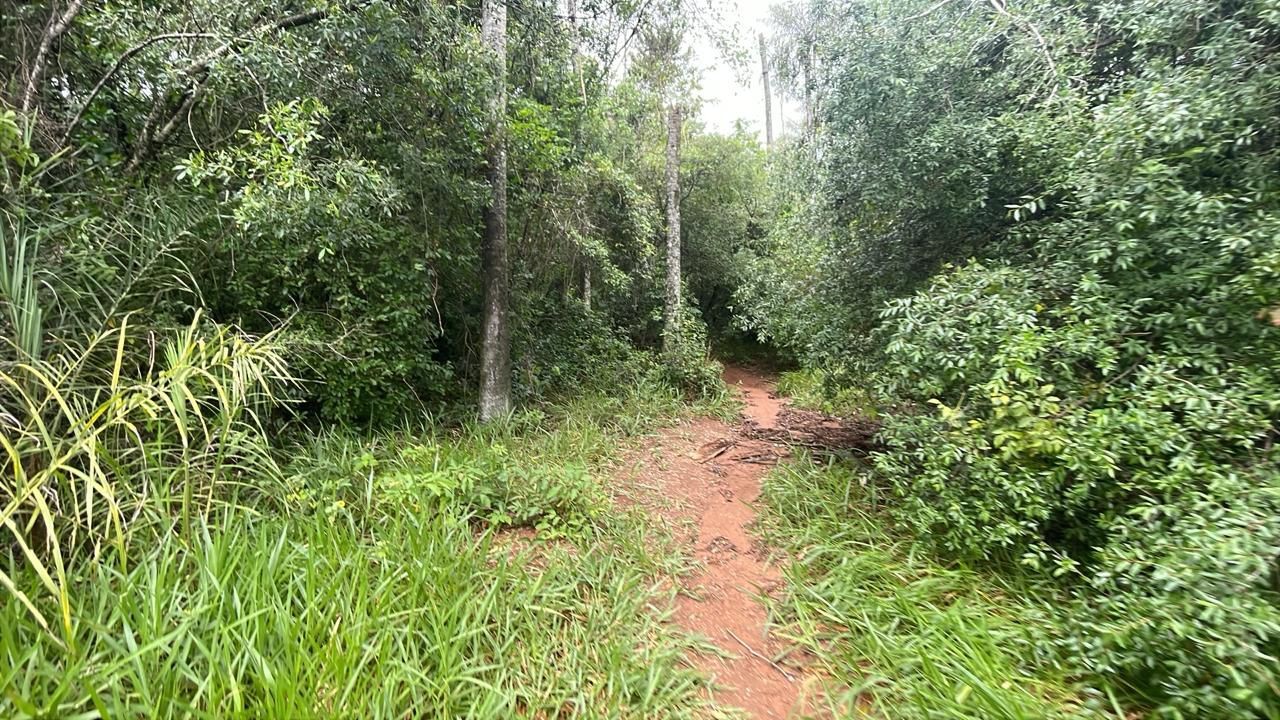 Vendo 14,6 hectáreas en Caacupé con vista al Cerro Kavaju — foto 3
