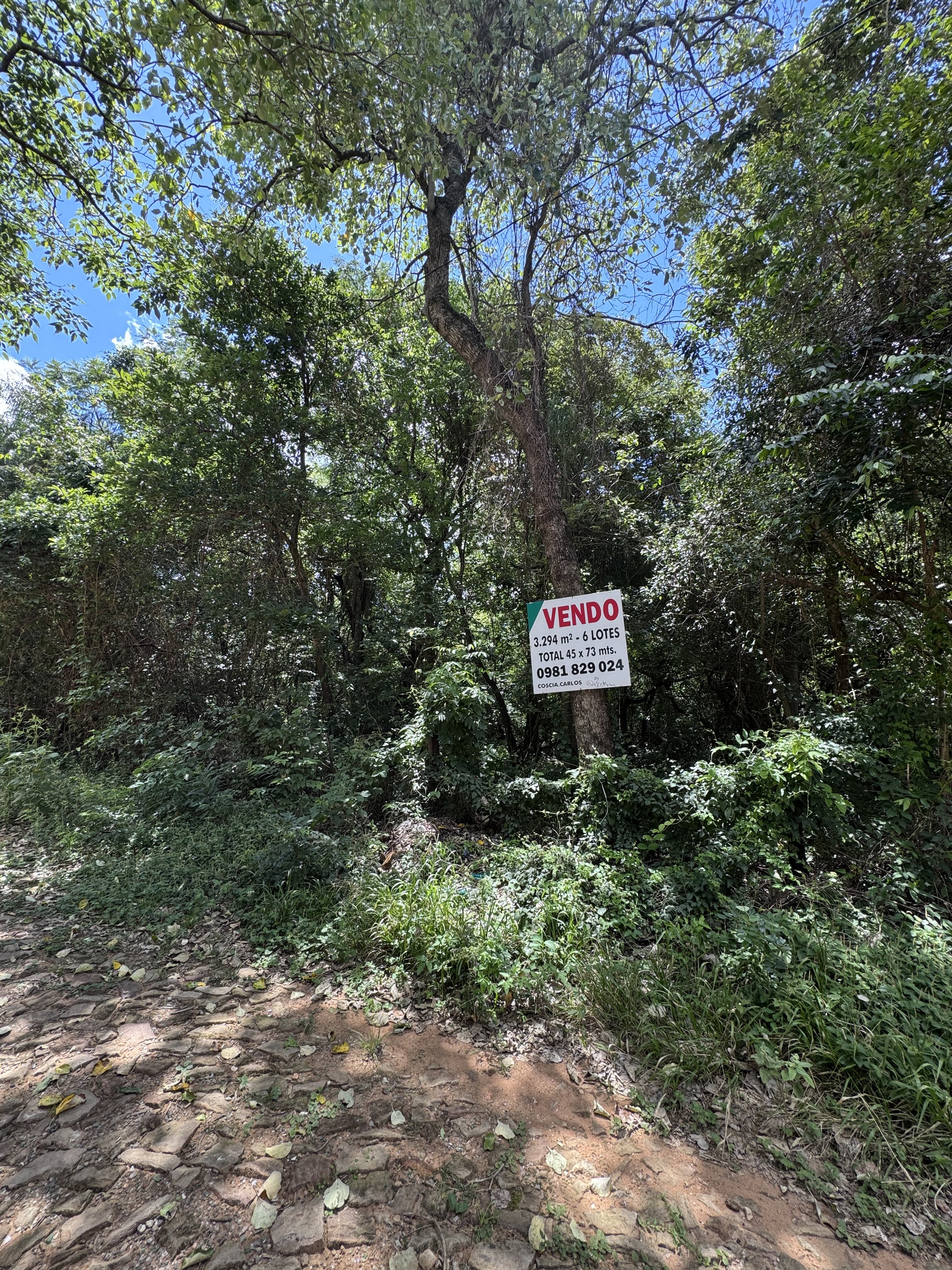 VENTA DE 6 LOTES EN SAN BERNARDINO – ZONA ALTA — foto 2