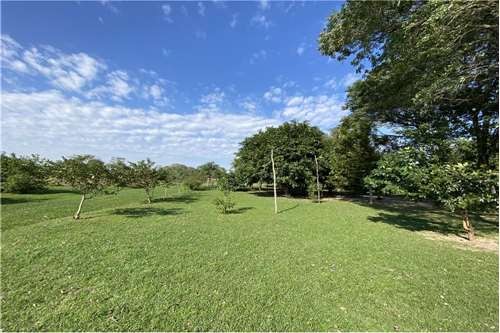 EN VENTA TERRENO DE 1.400 HAS EN LA CIUDAD DE PILAR — foto 2
