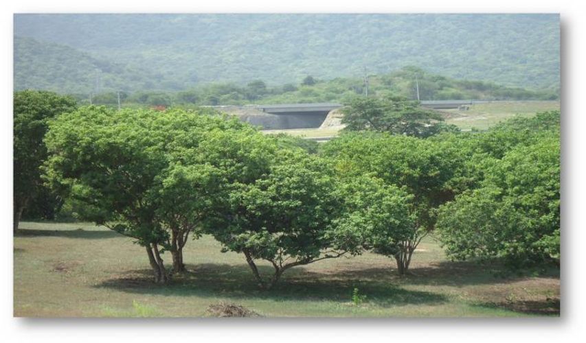 Lote en venta en Corregimiento De Bonda, Santa Marta, 71038 m² · foto 2 de 11