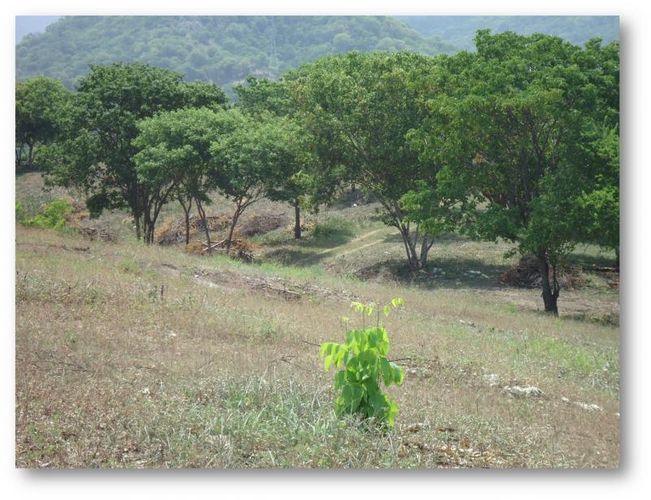 Lote en venta en Corregimiento De Bonda, Santa Marta, 71038 m² · foto 6 de 11