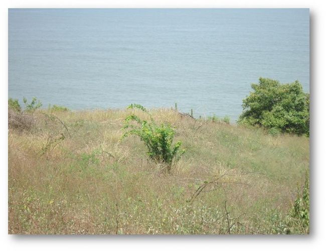 Lote en venta en Corregimiento De Bonda, Santa Marta, 71038 m² · foto 7 de 11