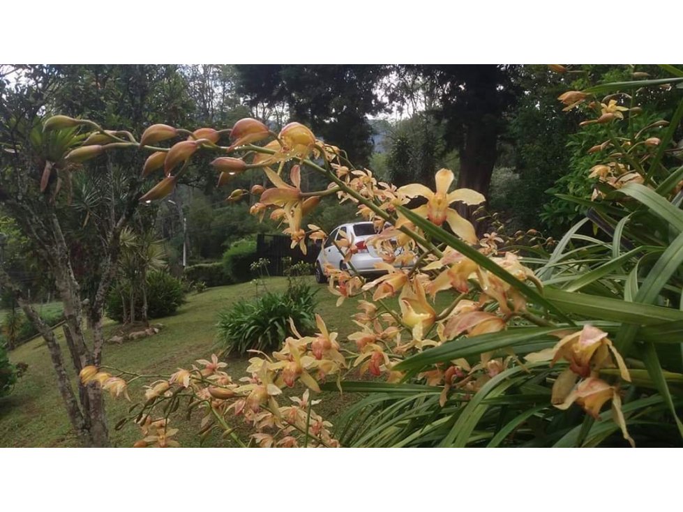 5BR Land in El tesoro (190 m²) for Sale - 4