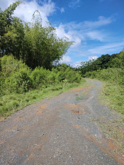 Lote en venta en Cerritos, Pereira, 13686 m² · foto 2 de 3