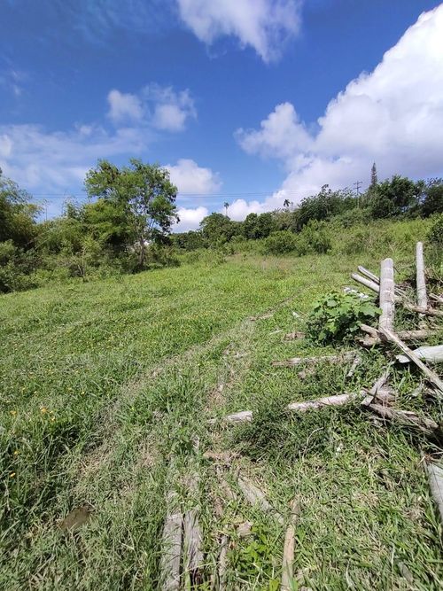 Lote en venta en Cerritos, Pereira, 13686 m² · foto 3 de 3