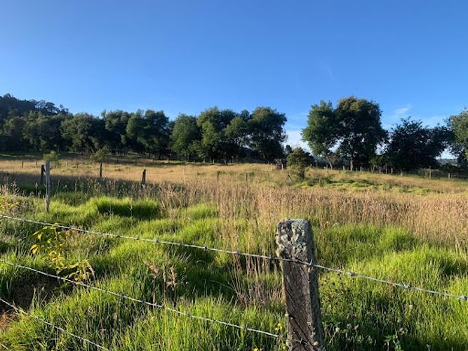 Lote en venta en Paso Real, La Calera, 10731 m² · foto 3 de 19