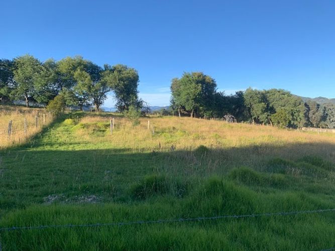 Lote en venta en Paso Real, La Calera, 10731 m² · foto 5 de 19
