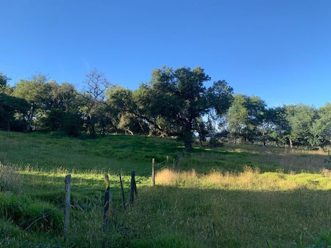 Lote en venta en Paso Real, La Calera, 10731 m² · foto 7 de 19