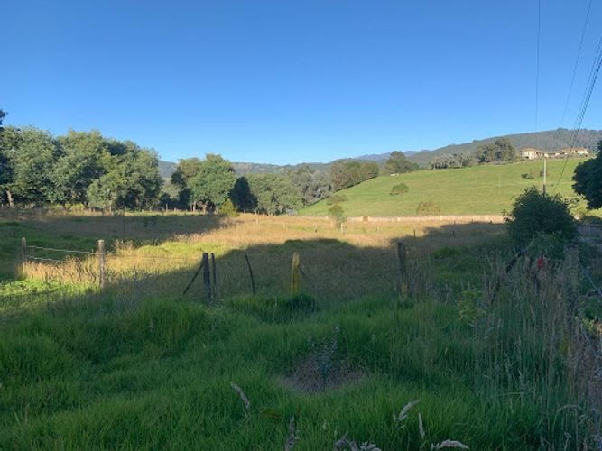 Lote en venta en Paso Real, La Calera, 10731 m² · foto 8 de 19