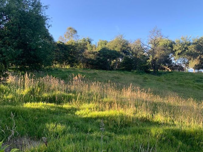 Lote en venta en Paso Real, La Calera, 10731 m² · foto 9 de 19