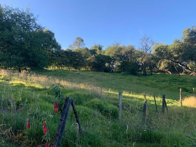 Lote en venta en Paso Real, La Calera, 10731 m² · foto 10 de 19