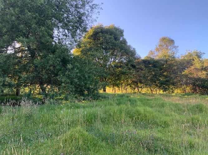 Lote en venta en Paso Real, La Calera, 10731 m² · foto 11 de 19