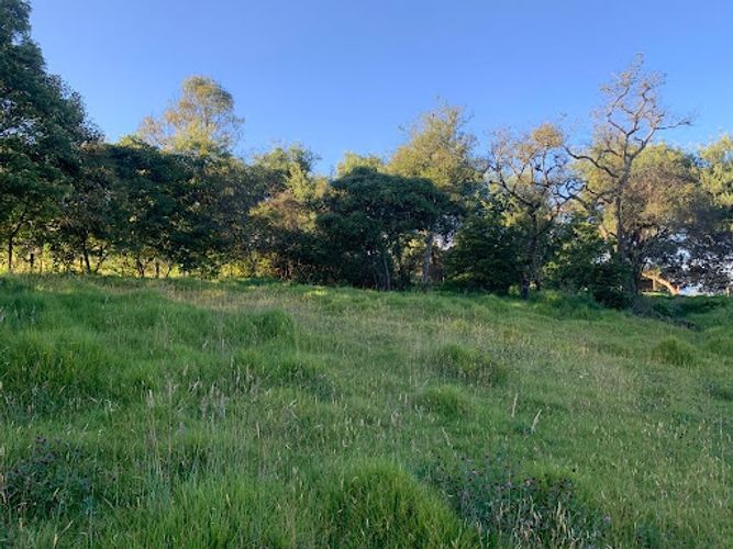 Lote en venta en Paso Real, La Calera, 10731 m² · foto 12 de 19