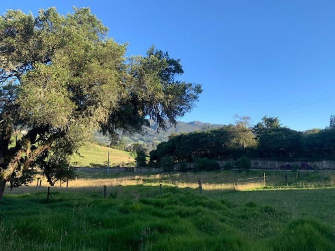 Lote en venta en Paso Real, La Calera, 10731 m² · foto 15 de 19