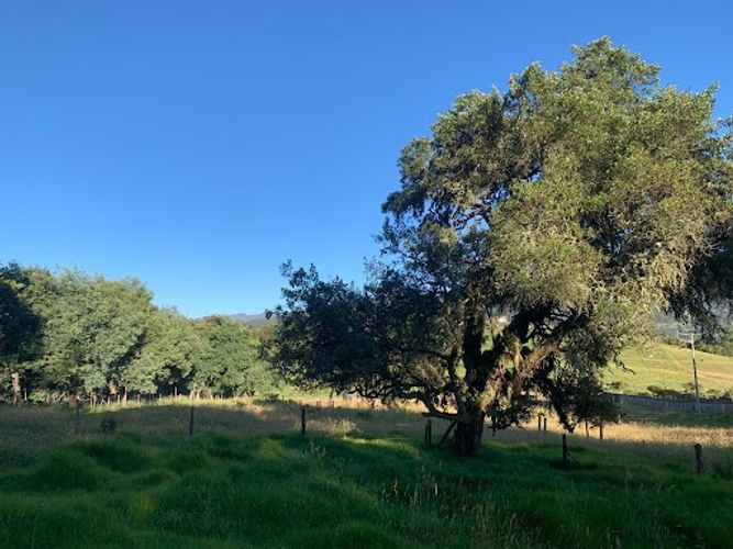 Lote en venta en Paso Real, La Calera, 10731 m² · foto 16 de 19