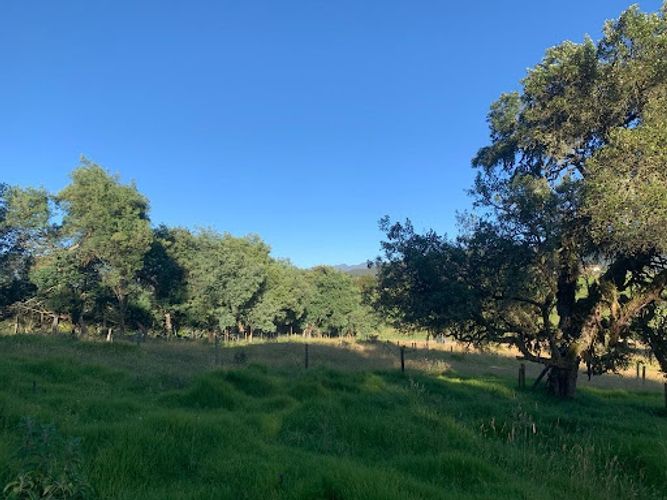 Lote en venta en Paso Real, La Calera, 10731 m² · foto 17 de 19