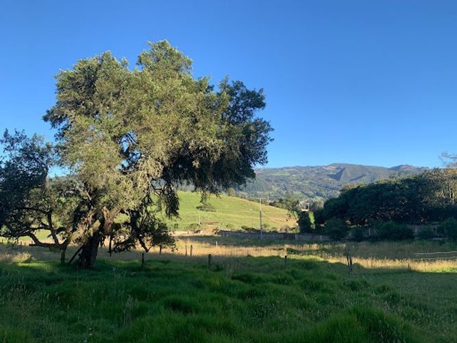 Lote en venta en Paso Real, La Calera, 10731 m² · foto 19 de 19