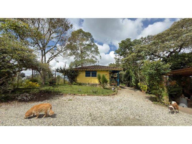 Casa de 3 alcobas en venta en Lomitas, La Ceja, 176 m² · foto 7 de 8