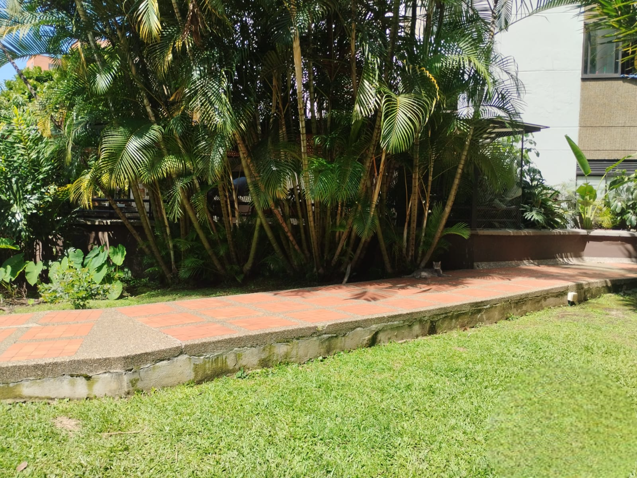Apartamento en arriendo en Los Balsos, Medellín · foto 16 de 24