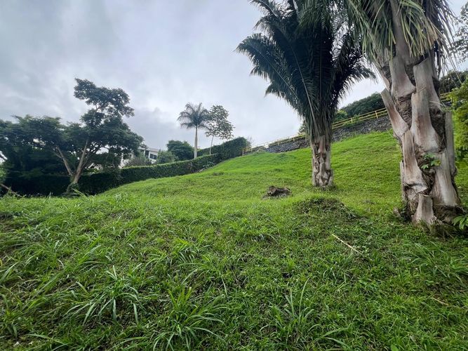 Lote en venta en Cerritos, Pereira, 1280 m² · foto 5 de 8