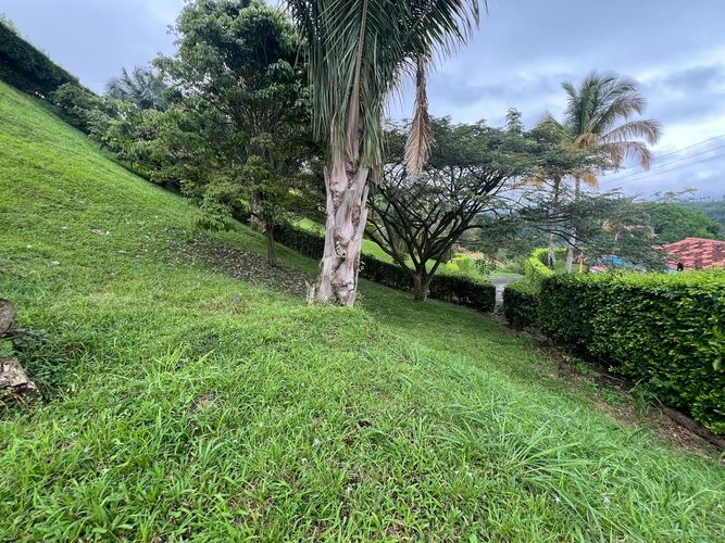 Lote en venta en Cerritos, Pereira, 1280 m² · foto 7 de 8