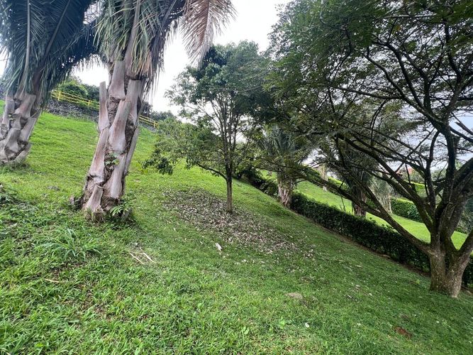 Lote en venta en Cerritos, Pereira, 1280 m² · foto 8 de 8