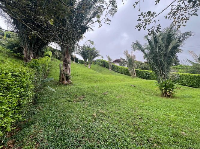 Lote en venta en Cerritos, Pereira, 1280 m² · foto 3 de 8