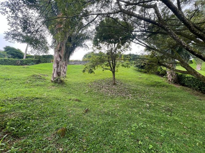 Lote en venta en Cerritos, Pereira, 1280 m² · foto 2 de 8