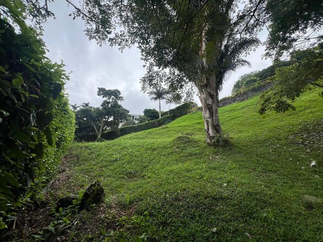 Lote en venta en Cerritos, Pereira, 1210 m² · foto 7 de 9