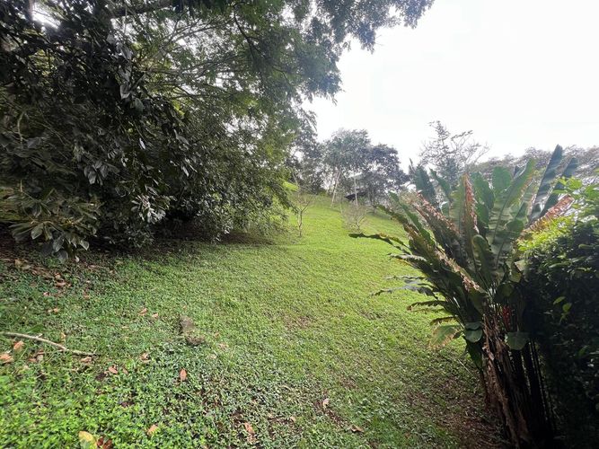 Lote en venta en Cerritos, Pereira, 1550 m² · foto 4 de 7