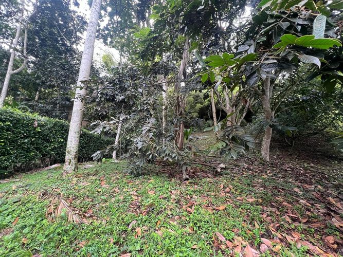 Lote en venta en Cerritos, Pereira, 1550 m² · foto 2 de 7