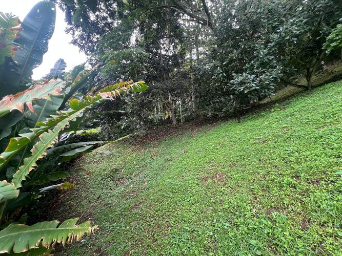 Lote en venta en Cerritos, Pereira, 1550 m² · foto 3 de 7