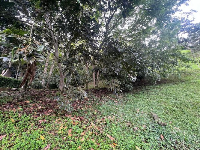 Lote en venta en Cerritos, Pereira, 1550 m² · foto 7 de 7