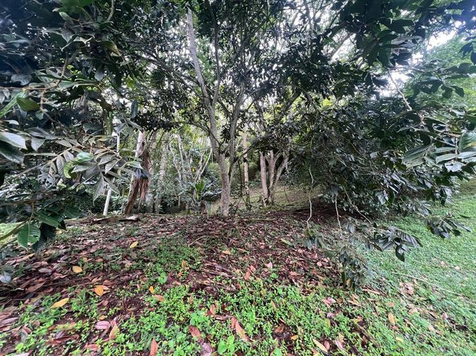 Lote en venta en Cerritos, Pereira, 1550 m² · foto 5 de 7