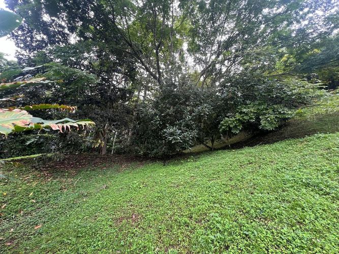 Lote en venta en Cerritos, Pereira, 1550 m² · foto 6 de 7
