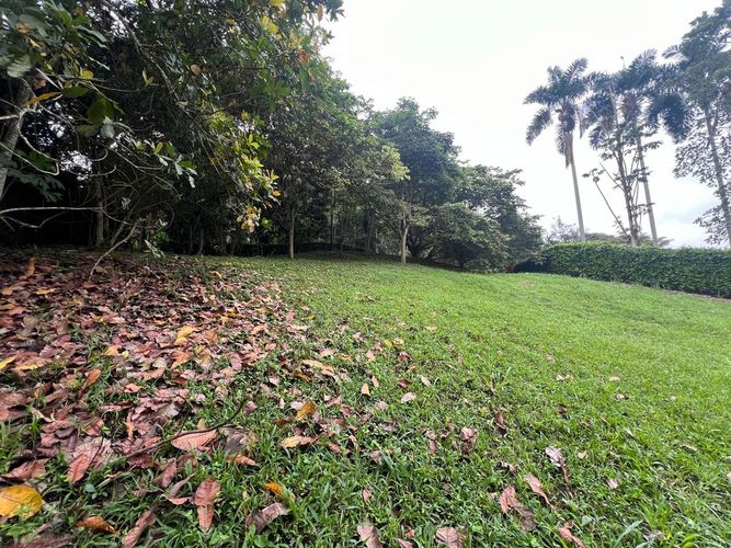 Lote en venta en Cerritos, Pereira, 1730 m² · foto 4 de 8