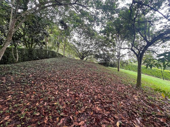 Lote en venta en Cerritos, Pereira, 1730 m² · foto 3 de 8